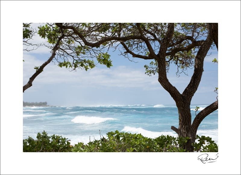 Destination-Wedding-Photographer-Hawaii-Elopement_Rene-Tate_0005