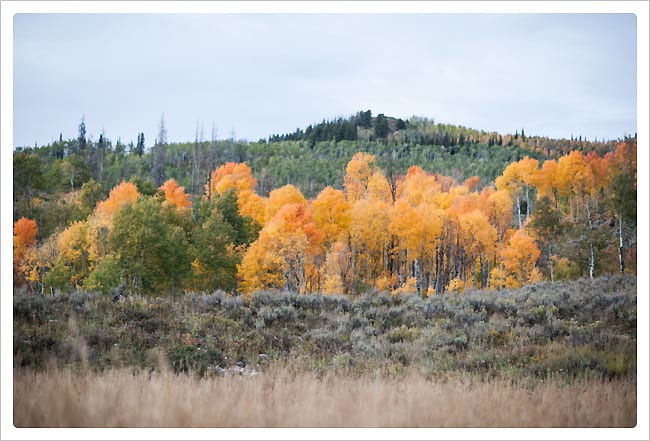 038_Steamboat-Springs-Wedding-Photographer_Rene-Tate