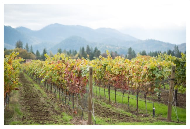 011_Oregon-Engagement-Photography_Rene-Tate