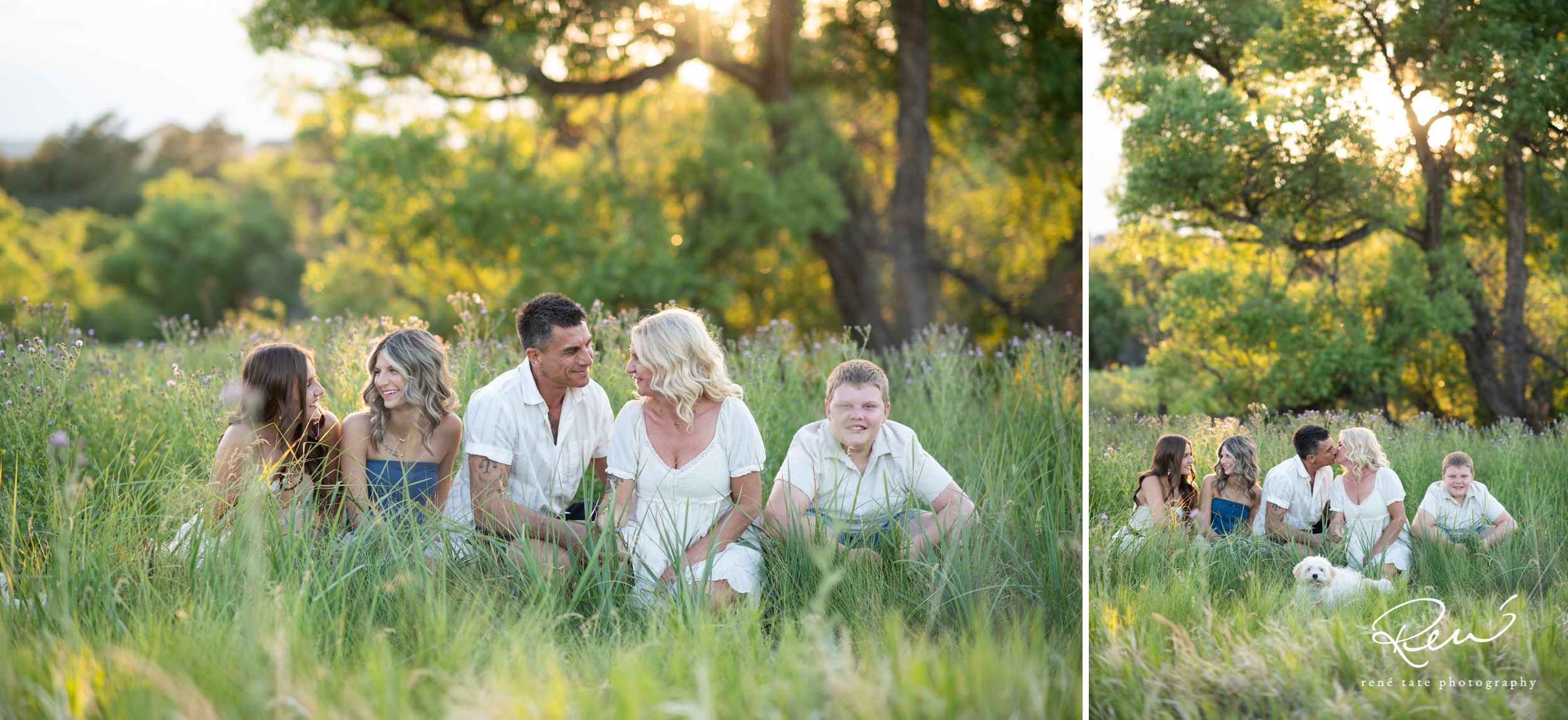 a family of five stand together in an open field of golden grass with their family dog and mountains in the background in Colorado Springs CO
